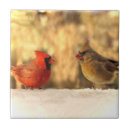 Suche nach herbst fliesen Rot