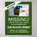 Suche nach katze und vogel poster Für alle