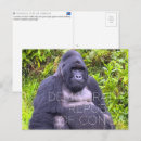 Suche nach kongo postkarten Afrika