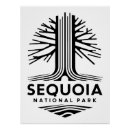 Suche nach sequoia poster Wald