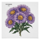 Suche nach aster poster September geburtstag