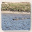 Suche nach alligator untersetzer Reptil