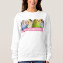 Suche nach budgerigars Papageien