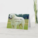Suche nach große pyrenäen karten Fotografie