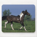 Suche nach malen sie pferde mousepads Reiter