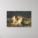 Suche nach wild lebende tiere leinwandbilder Tierjagd