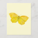 Suche nach schmetterlingsflügel postkarten Für alle