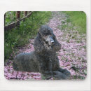 Suche nach schwarzer pudel mousepads Hund