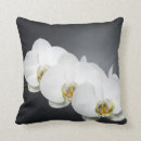 Suche nach nahaufnahme kissen Pflanze