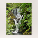 Suche nach wasserfall puzzle Bäume
