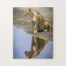 Suche nach löwin puzzle Katze