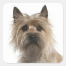 Suche nach cairn terrier aufkleber Hund