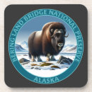 Suche nach bering Alaska