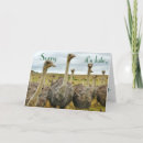 Suche nach vergesslich karten Jede person