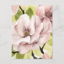 Suche nach magnolie postkarten Botanisch