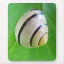 Suche nach schnecken mousepads Jede person