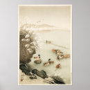 Suche nach mallard poster Vögel