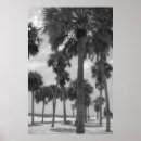 Suche nach palm poster Florida