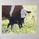 Suche nach waagerecht poster Sicherheit