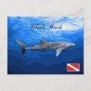 Suche nach walhai postkarten Tier