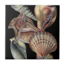 Suche nach meer fliesen Seashell