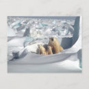 Suche nach polar bear postkarten Landschaft