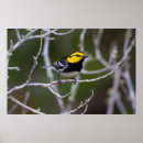 Suche nach habitat poster Bird