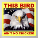 Suche nach american eagle poster Amerika