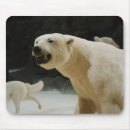 Suche nach eisbär gefährdet mousepads Tierwelt