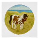 Suche nach fohlen poster Stuten und fohlen