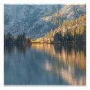 Suche nach licht und schatten poster Ruhig