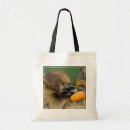 Suche nach abstand taschen Tierfotografie