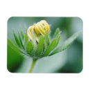 Suche nach durban magnete Tag