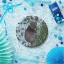 Suche nach koala teller Natur