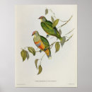 Suche nach gould poster John