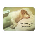 Suche nach versuchen magnete Für alle