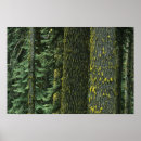 Suche nach forstwirtschaft poster Natur