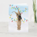 Suche nach doggen alle karten Welpe