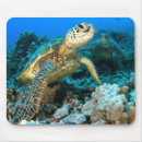 Suche nach hawaii schildkröten mousepads Tauchen