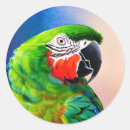 Suche nach niedlicher papagei aufkleber Vögel