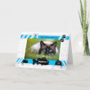 Suche nach katze fotokarten Katzen