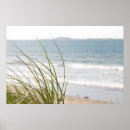 Suche nach sanddüne poster Küste