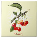 Suche nach vintage frucht fliesen Küche