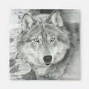 Suche nach wachsam magnete Hund