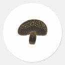 Suche nach akademie aufkleber Schnecke