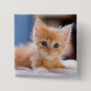 Suche nach neugier buttons Haustiere