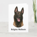Suche nach malinois postkarten Haustier
