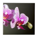 Suche nach tropische orchideen fliesen Elegant