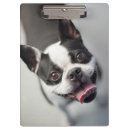 Suche nach französische bulldogge klemmbrett Hunde