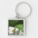 Suche nach hydrangea schlüsselanhänger Natur